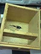 1929 Elite Light weight outboard motor (w/box- no stand)
