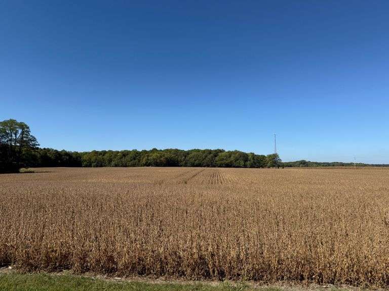 TBD 600 West - 18.46 acres of agricultural farmland