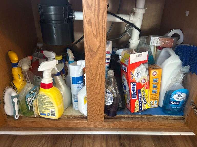 Contents of lower cabinet - cleaning supplies