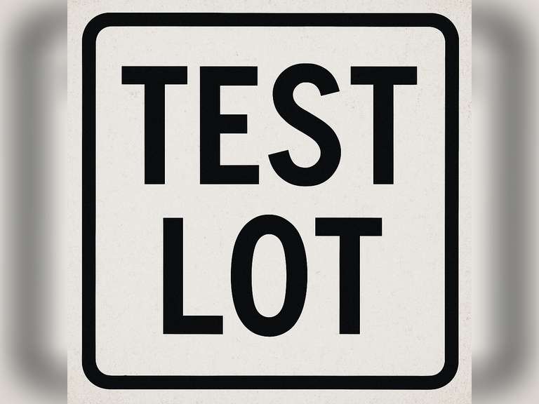 Test Lot: Practice bidding!