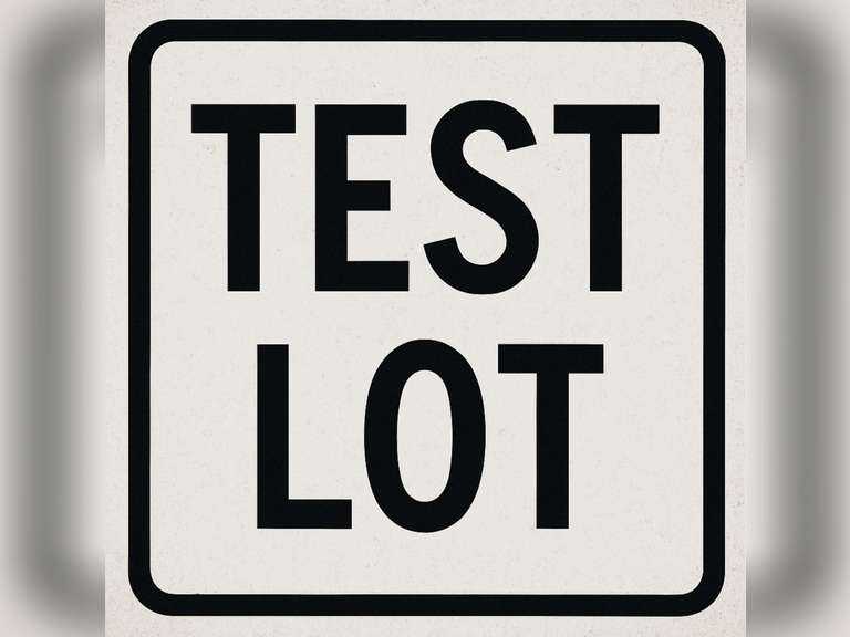 Test Lot: Practice bidding!
