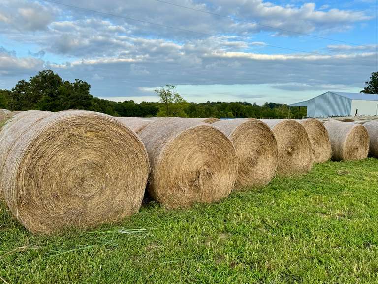 25 Mixed Grass Hay Round Bales