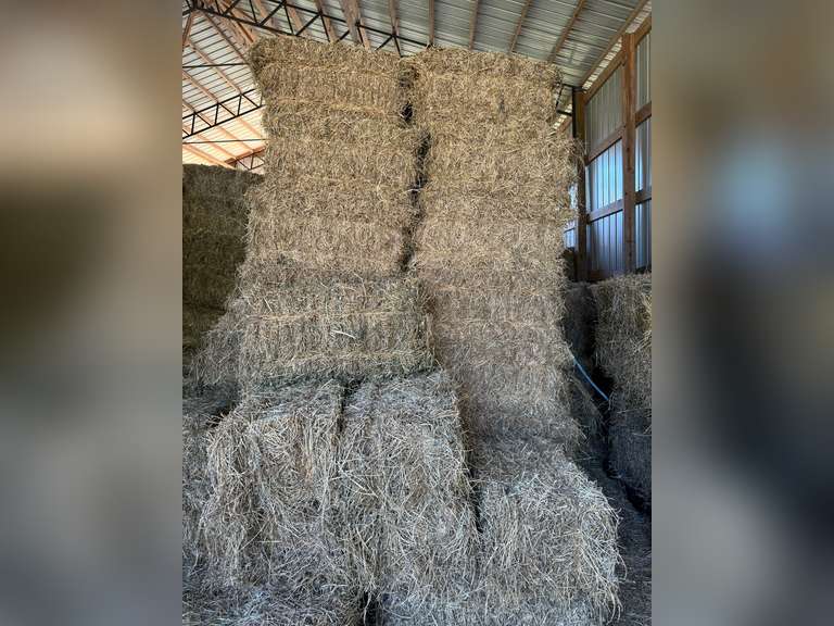 50 Bales Alfalfa