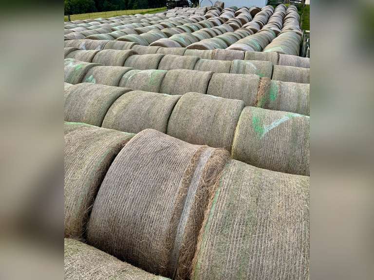 11 Mixed Grass Hay Round Bales