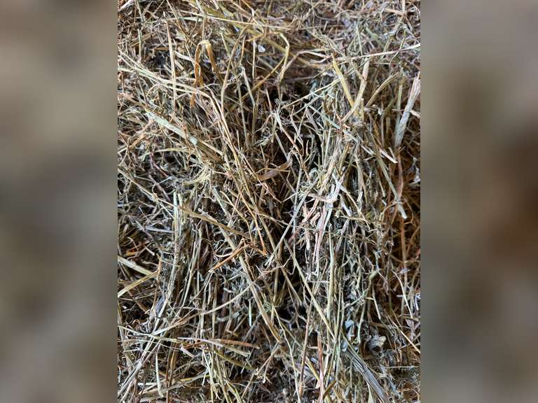 50 Bales Alfalfa