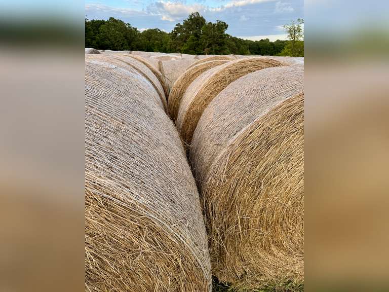 25 Mixed Grass Hay Round Bales
