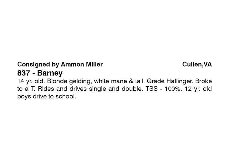 Barney