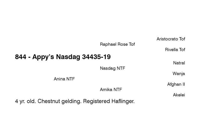 Appy’s Nasdag 34435-19