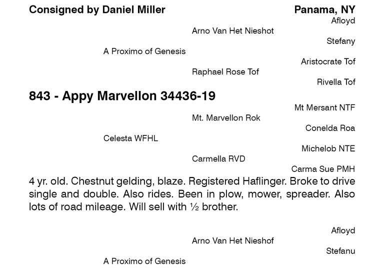 Appy Marvellon 34436-19
