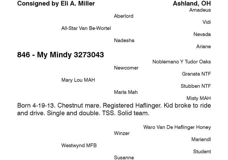 My Mindy 3273043