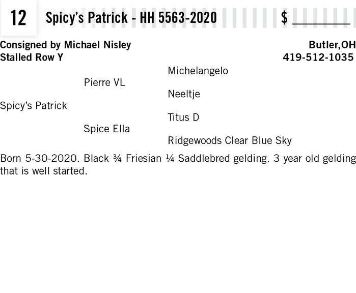 Spicy’s Patrick - HH 5563-2020