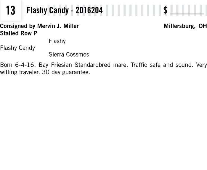 Flashy Candy - 2016204