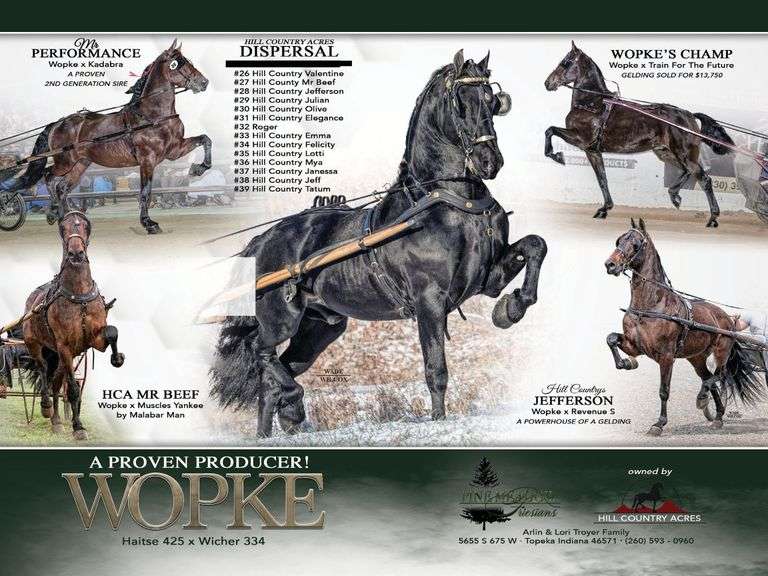 Wopke fan de Grote Overburg - 528210000780132