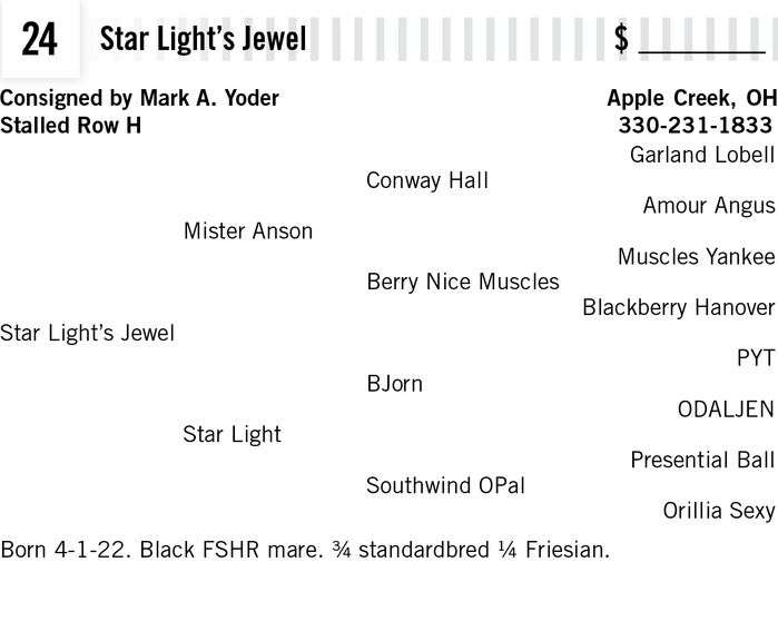 Star Light’s Jewel