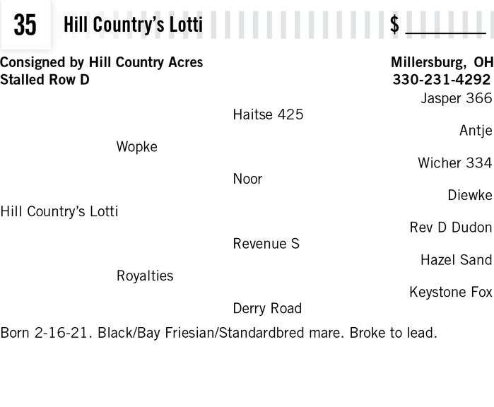 Hill Country’s Lotti Mt Hope Auction