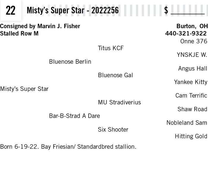 Misty’s Super Star - 2022256
