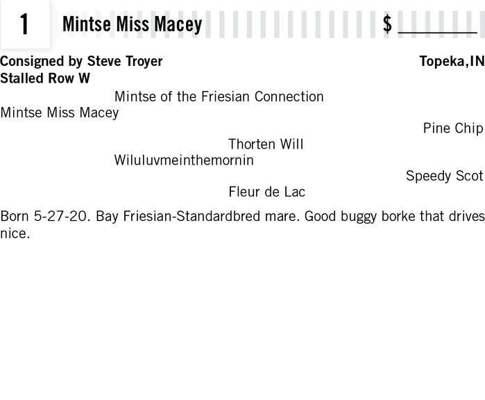 Mintse Miss Macey
