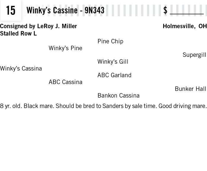 Winky’s Cassine - 9N343