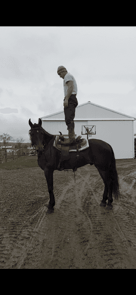 Wa Hoo - 20191743-2018