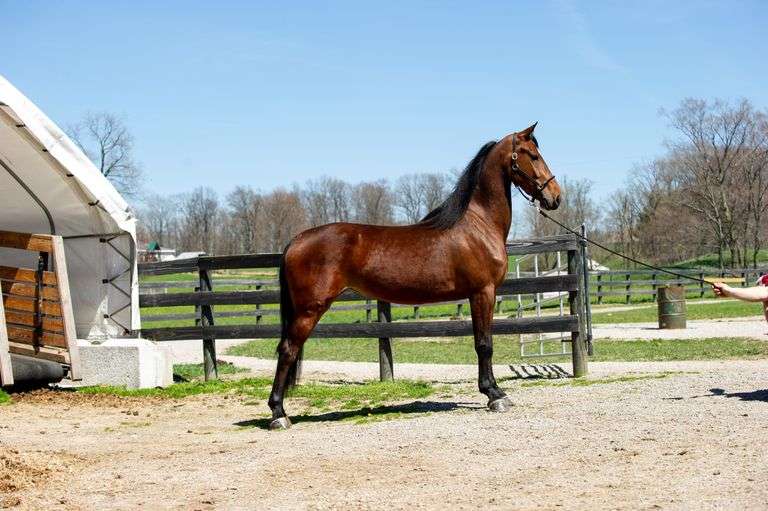 GRF-Sandy - 20202405-2020