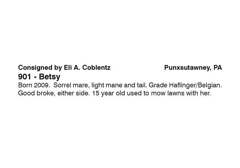Betsy