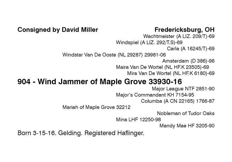 Wind Jammer of Maple Grove 33930-16