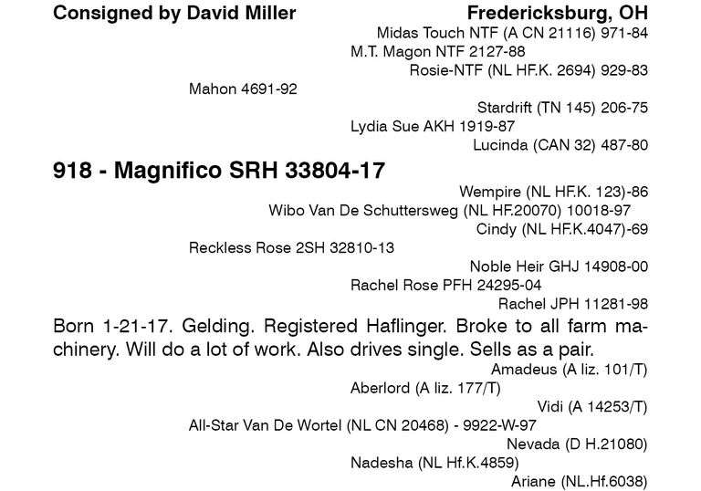 Magnifico SRH 33804-17