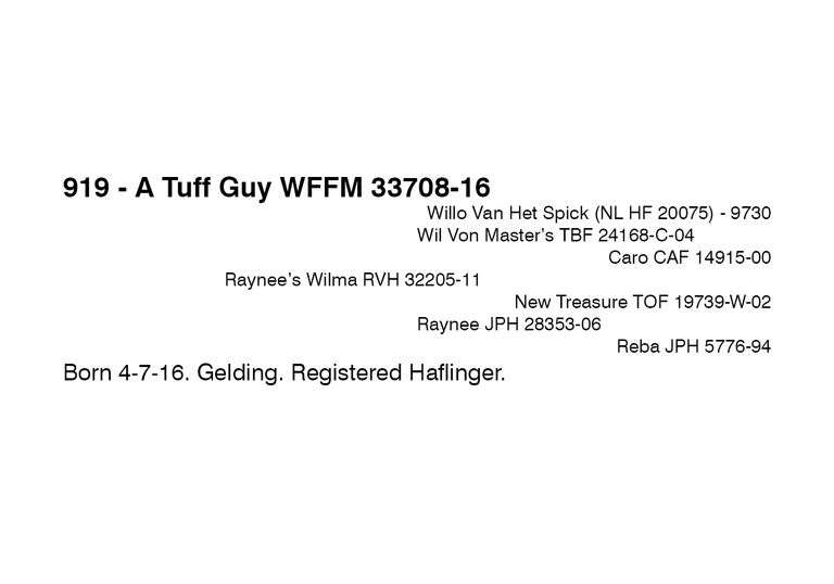 A Tuff Guy WFFM 33708-16