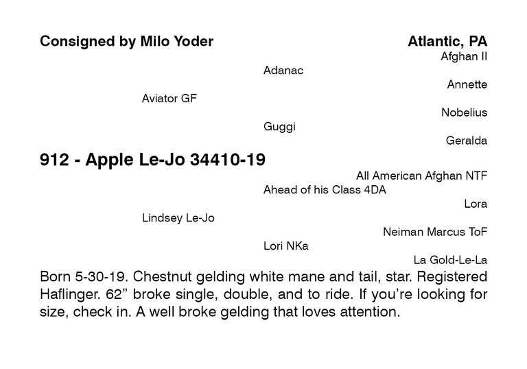 Apple Le-Jo 34410-19