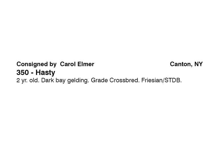 Hasty