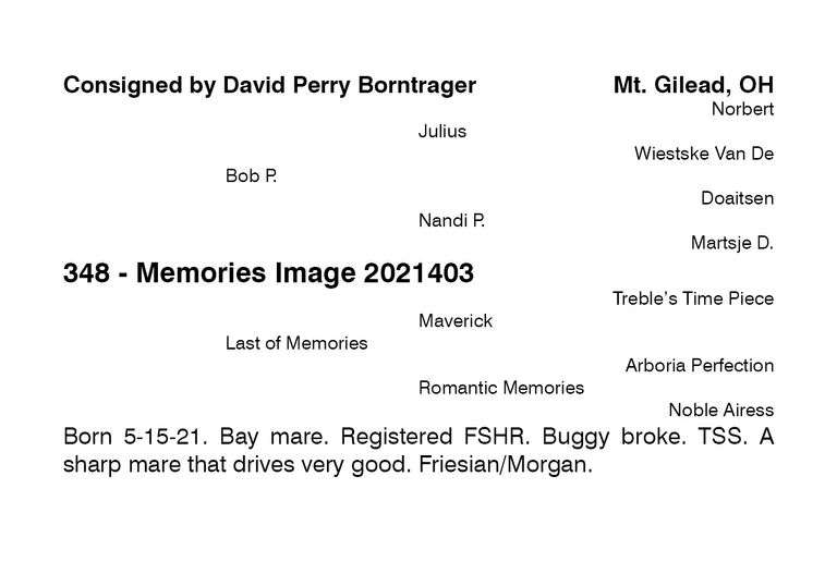 Memories Image 2021403