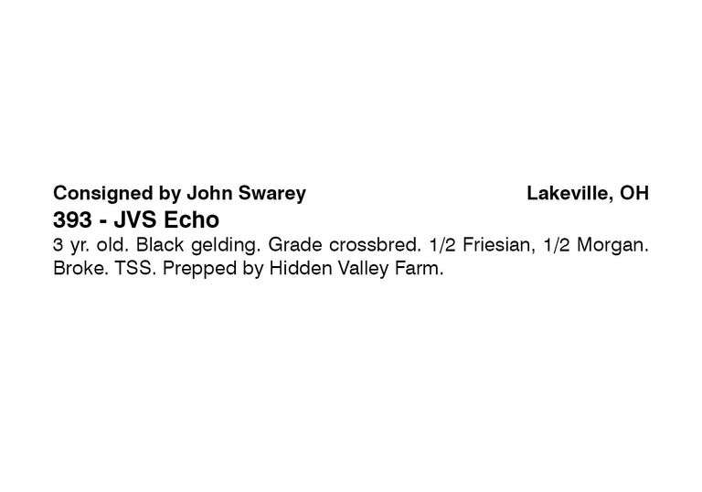 JVS Echo