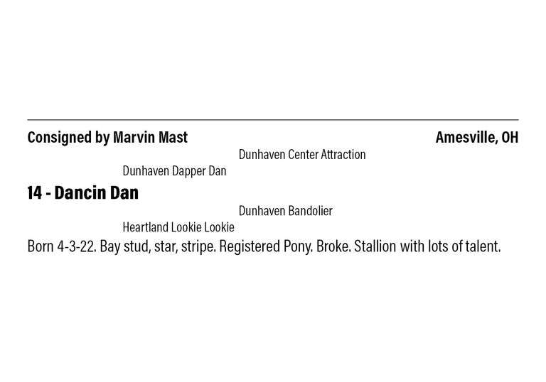 Dancin Dan