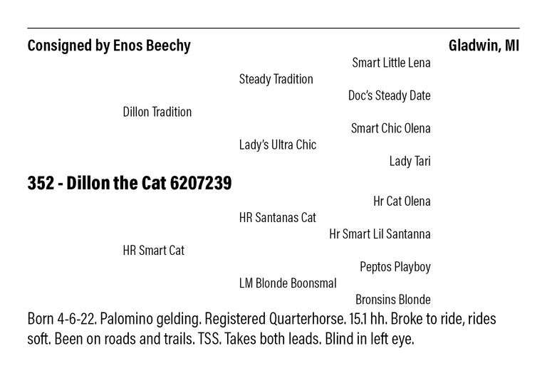Dillon the Cat 6207239