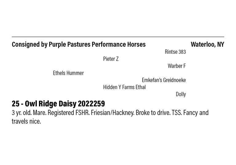 Owl Ridge Daisy 2022259