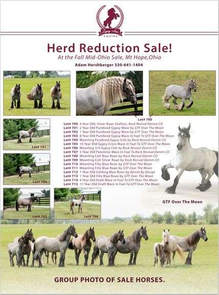 Mid Ohio Fall Crossbred Sale