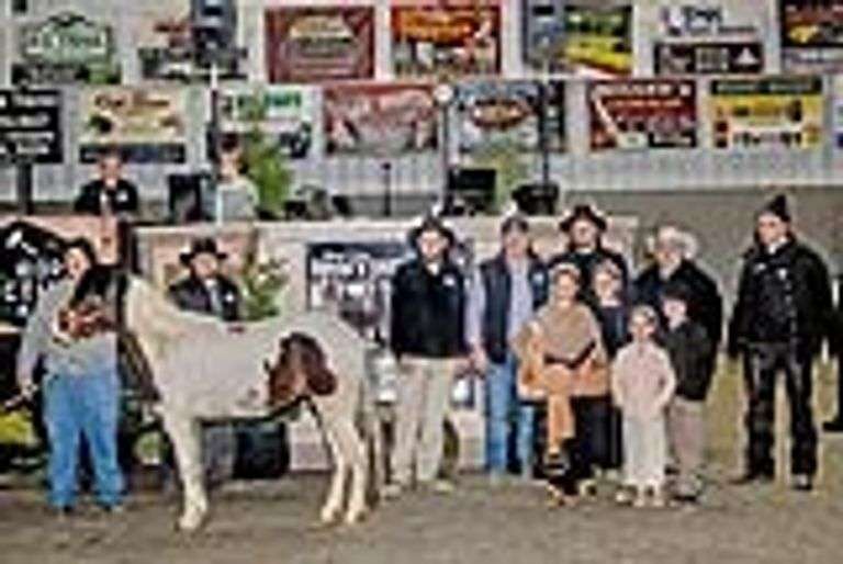Mid Ohio Fall Pony Auction