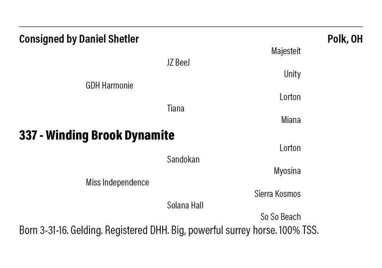 Winding Brook Dynamite