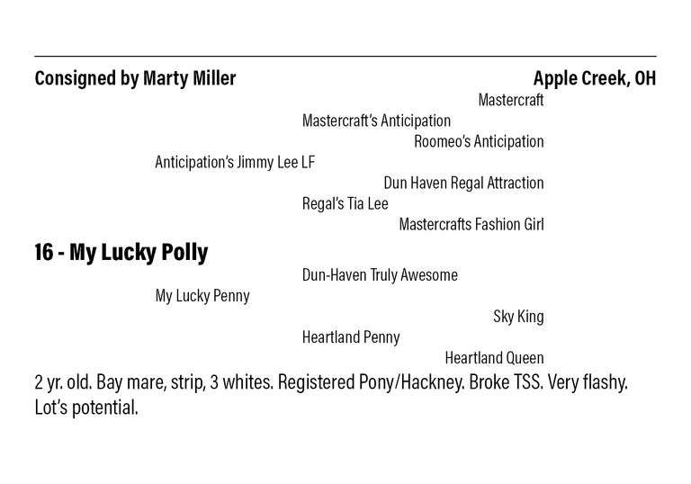 My Lucky Polly