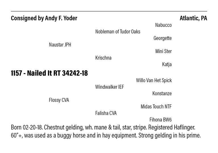 Nailed It RT 34242-18