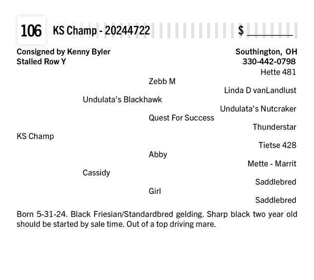 KS Champ