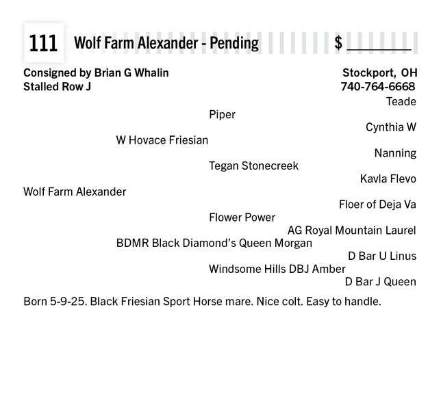 Wolf Farm Alexander