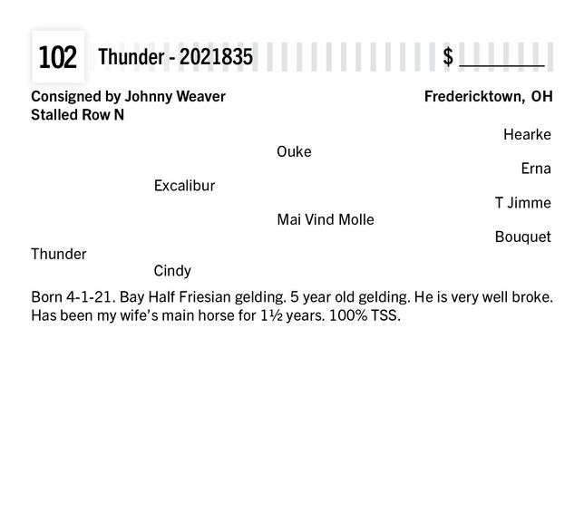 Thunder