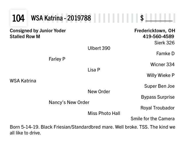 WSA Katrina