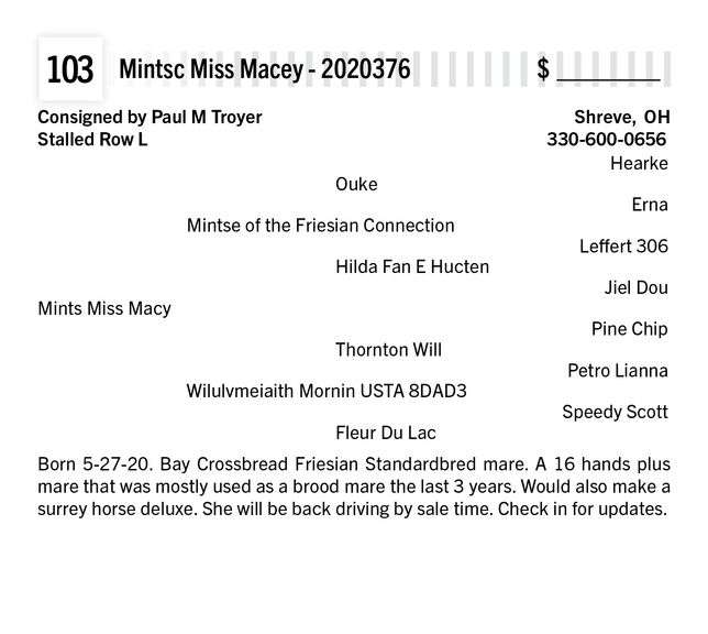 Mints Miss Macy