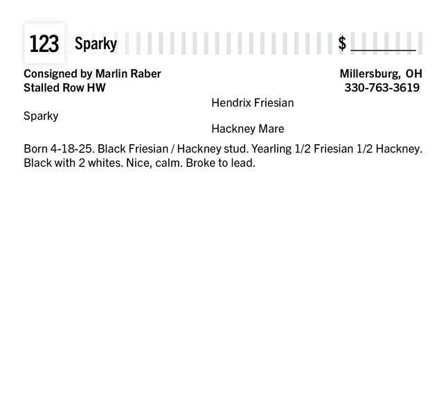 Sparky