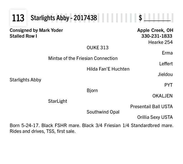 Starlights Abby