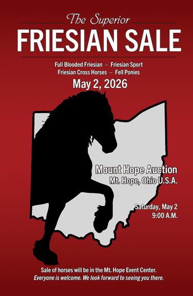 The Superior Friesian Sale 