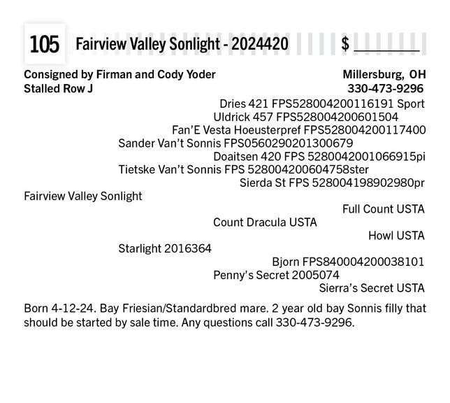 Fairview Valley Sonlight