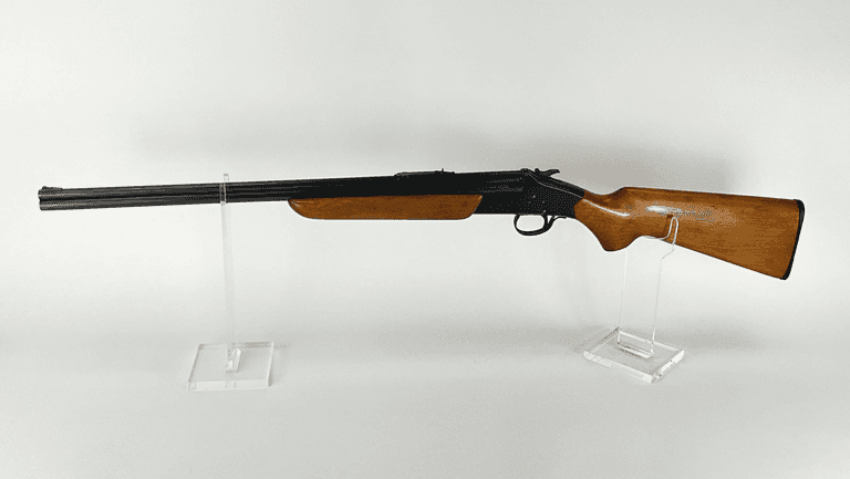 Savage .22/.410